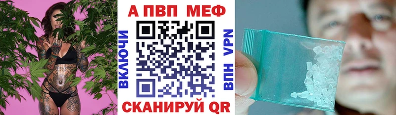 Альфа ПВП СК  OMG ссылка  Оса 