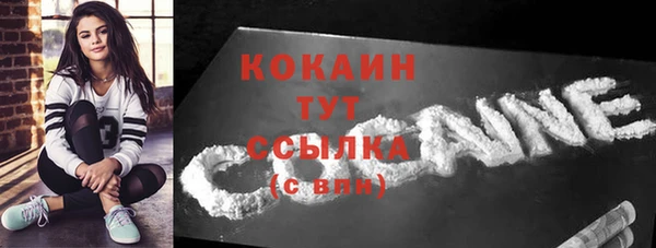 ALPHA-PVP Инсар