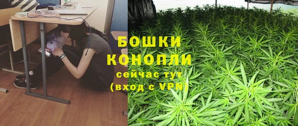 ALPHA-PVP Инсар