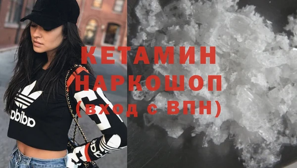 дмт Инта