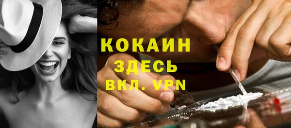дмт Инта