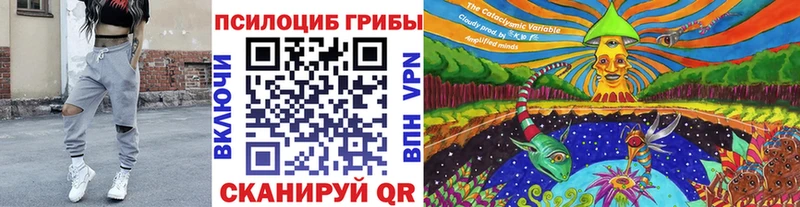 Псилоцибиновые грибы прущие грибы  Оса 